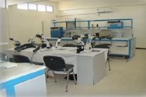 Experimental Station of biophysical environment ( Touggourt )