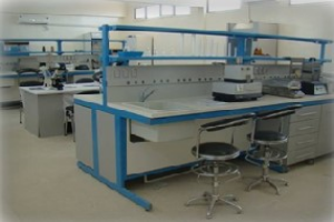 Experimental Station of biophysical environment ( Touggourt )