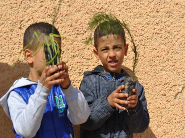 journee internationale des forets