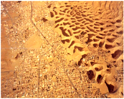 Effet de la remontée de la nappe phréatique dans le Souf en milieu urbain et Agricole (Vue aérienne).