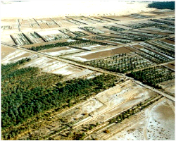 Effet de l’irrigation à l’eau saumâtre et du drainage déficient dans la région de l’Oued Righ (Vue aérienne (a) et (b))