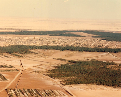 Effet de l’irrigation à l’eau saumâtre et du drainage déficient dans la région de l’Oued Righ (Vue aérienne (a) et (b))